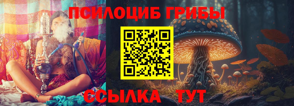 Нефтекумск  Псилоцибиновые грибы Cubensis  Псилоцибиновые грибы ЛСД  где можно купить наркотик  Вход с VPN 